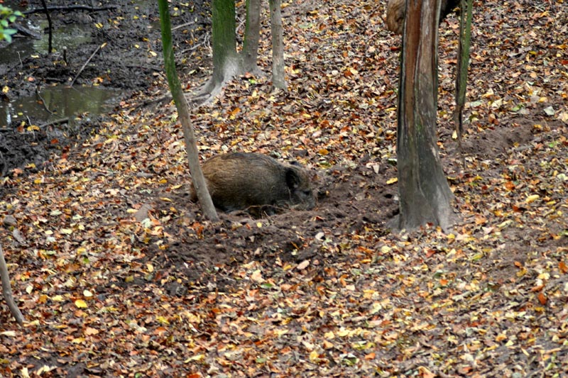 Killikus® Fotographie Killikus® Fotographie